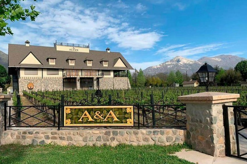 A vineyard with a stone wall and a sign that reads 'A&A.' 4