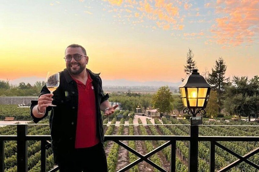 A person holding a wine glass, standing on a balcony with a vineyard and a street lamp in the background. 3