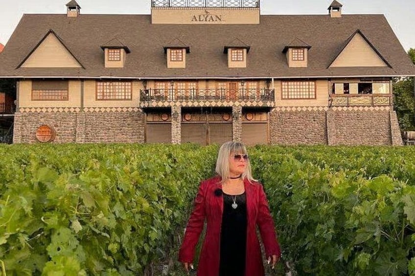 A building with the name 'ALCAN' on the facade, surrounded by vineyards. 5
