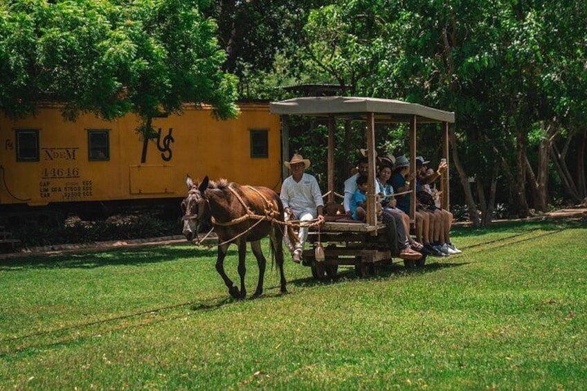 A horse-drawn carriage with passengers on a grassy area near a train track. 3