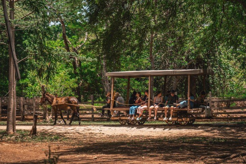A wooden structure with people sitting on benches, surrounded by trees. 2