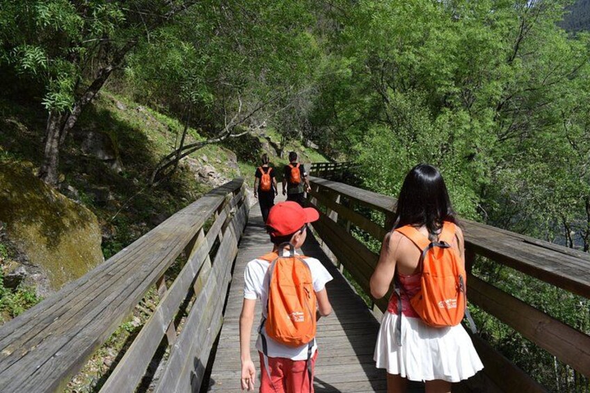 Un pont en bois, entouré d’une végétation luxuriante, sur lequel des personnes se promènent. 5