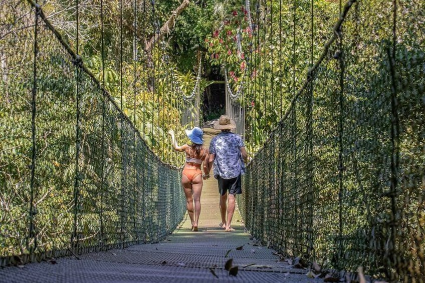Un pont suspendu entouré d’une végétation luxuriante. 5