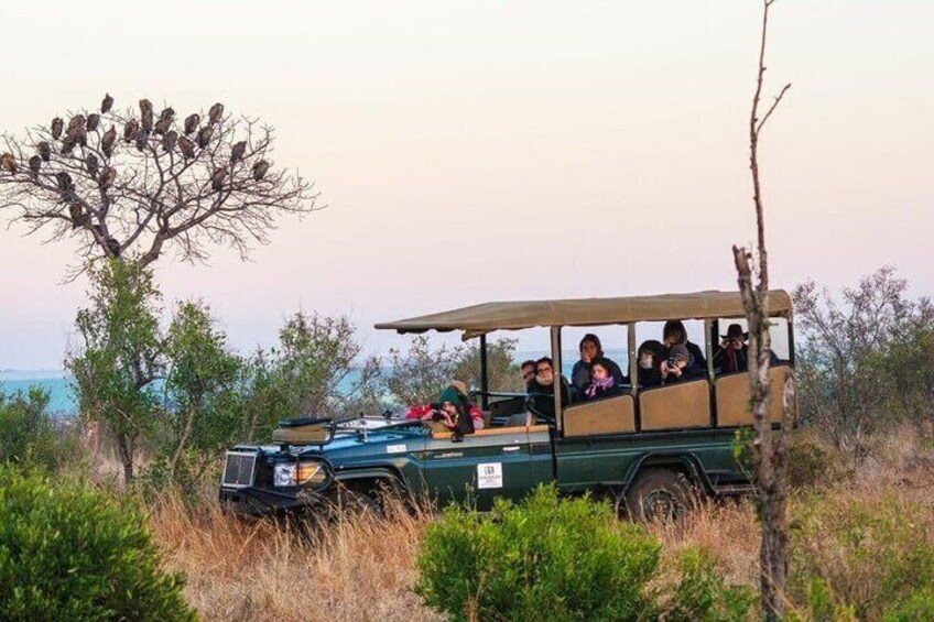 A safari vehicle with passengers, surrounded by dry grass and sparse trees. 5
