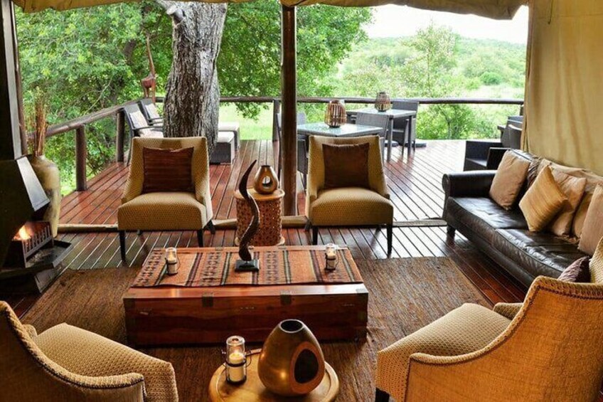 A wooden deck with outdoor furniture, a large tree, and a view of greenery. 3