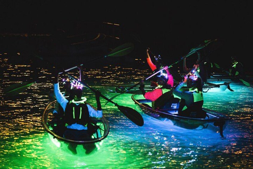 Night Kayak Tour St. Thomas - Westin Frenchman's Reef 2