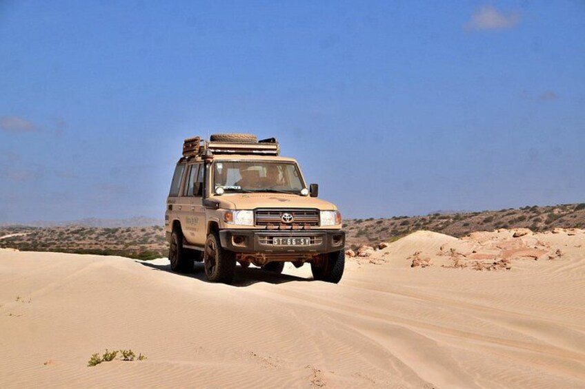 A beige SUV with luggage on the roof, driving through a desert with sand dunes. 3
