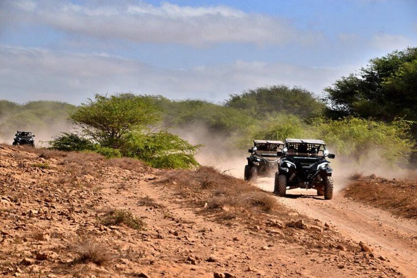 Two off-road vehicles driving on a dusty, rocky path surrounded by sparse vegetation. 3
