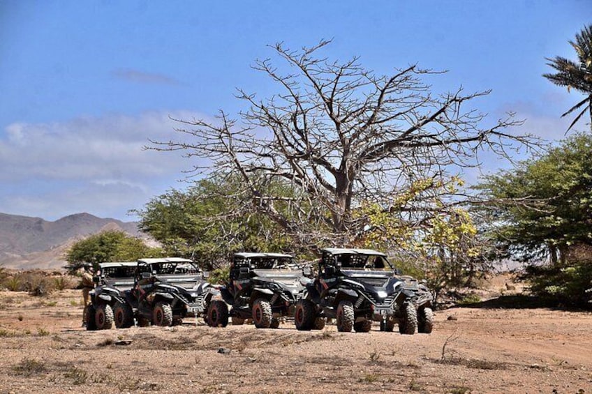 Tres vehículos todoterreno estacionados en un paisaje árido y abierto con vegetación escasa y cielo despejado. 3