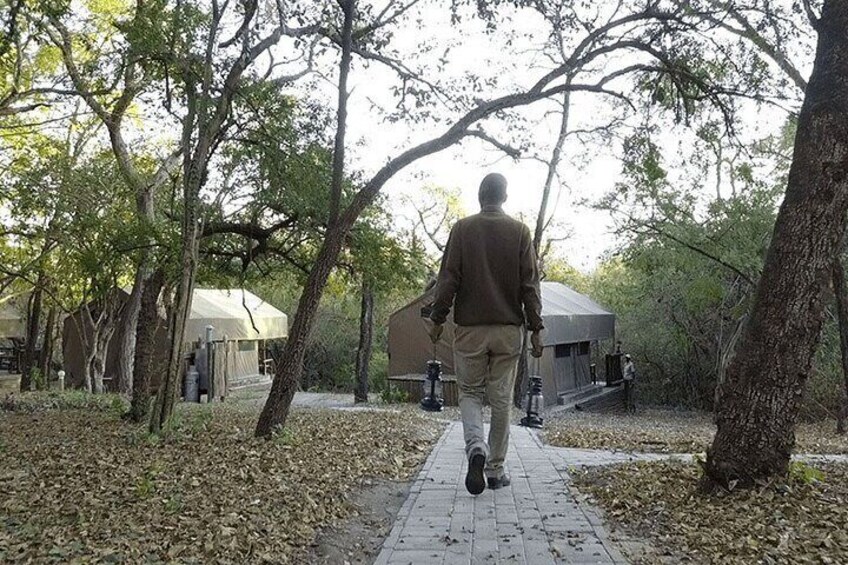 A man walking on a paved path surrounded by trees and buildings. 5