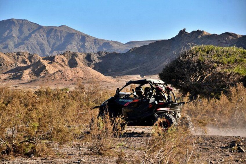 A quad bike in a desert landscape with mountains in the background. 1