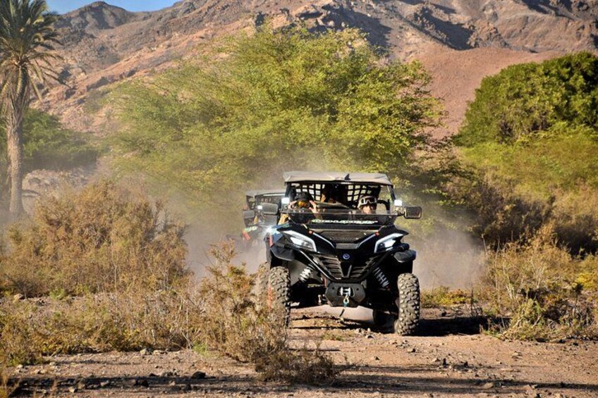 A quad bike driving on a dirt road with a mountainous background. 4