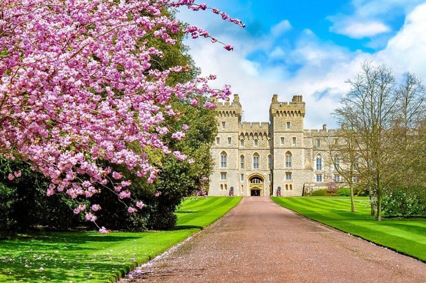 Full Day Private Shore Tour in Windsor from Southampton Port 1