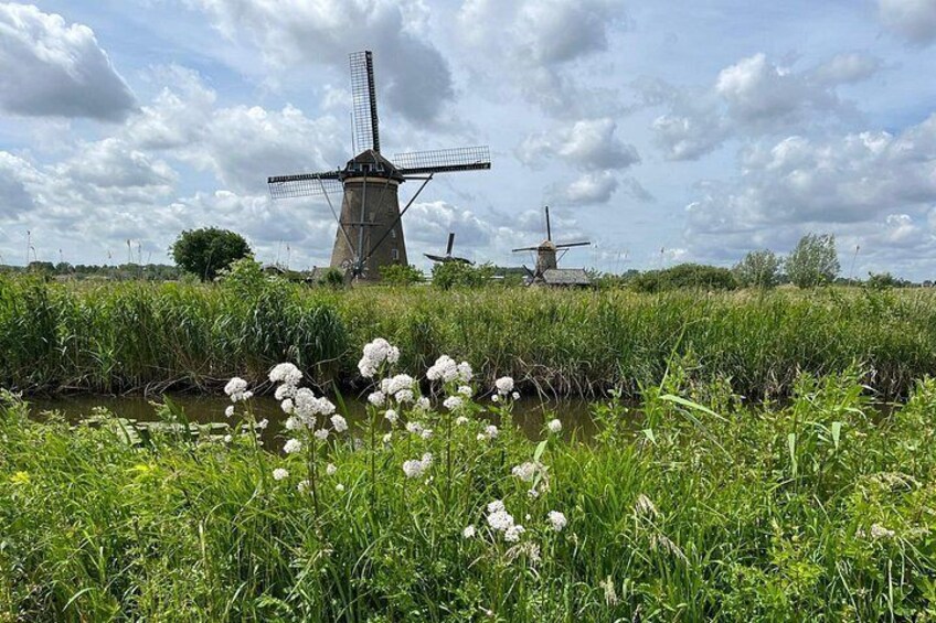 Un molino de viento, un campo de flores blancas y un cielo nublado. 1