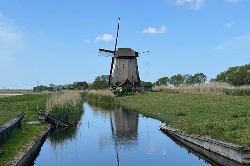 Kinderdijk Windmills, Delft City & Delft Blue Factory Visit 3