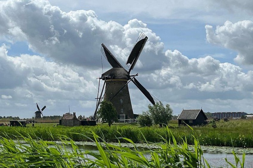 Kinderdijk Windmills, Delft City & Delft Blue Factory Visit 2