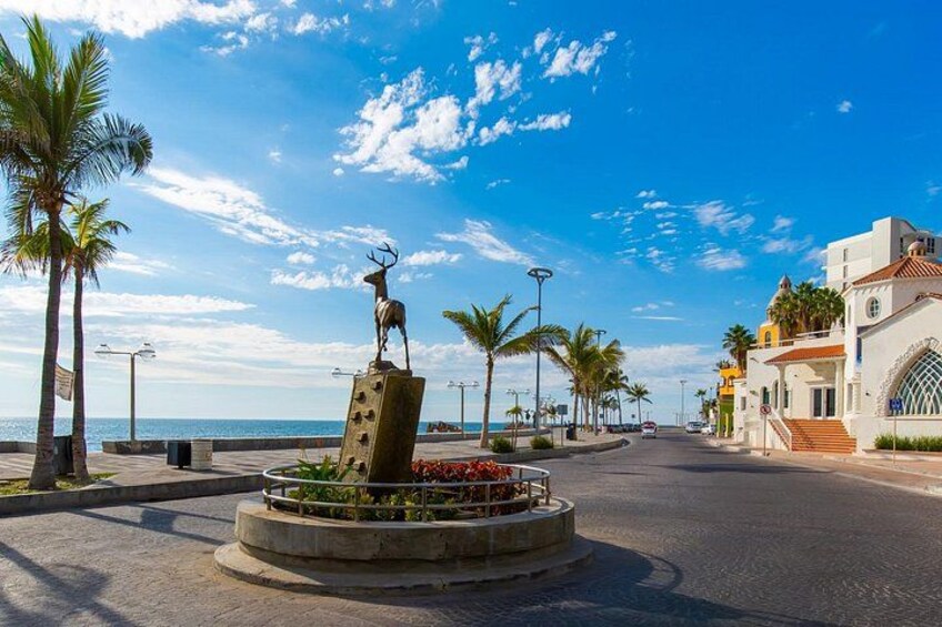 Full Day Private Shore Tour in Mazatlan from Mazatlan Cruise Port 4