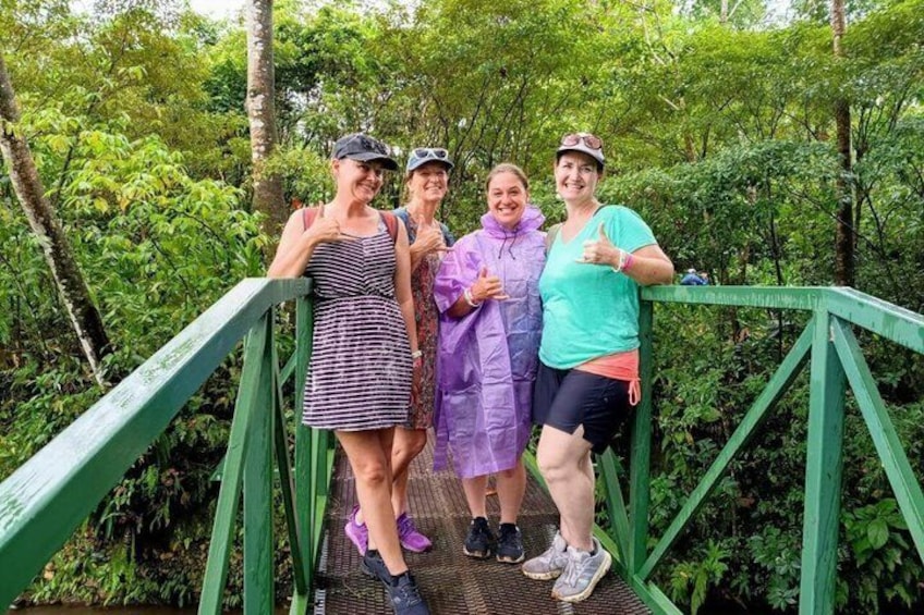 Sloth Watching, Coffee, Chocolate & Waterfall Experience 4