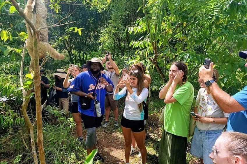 Sloth Watching & Wildlife, Coffee, Chocolate and Waterfall 2