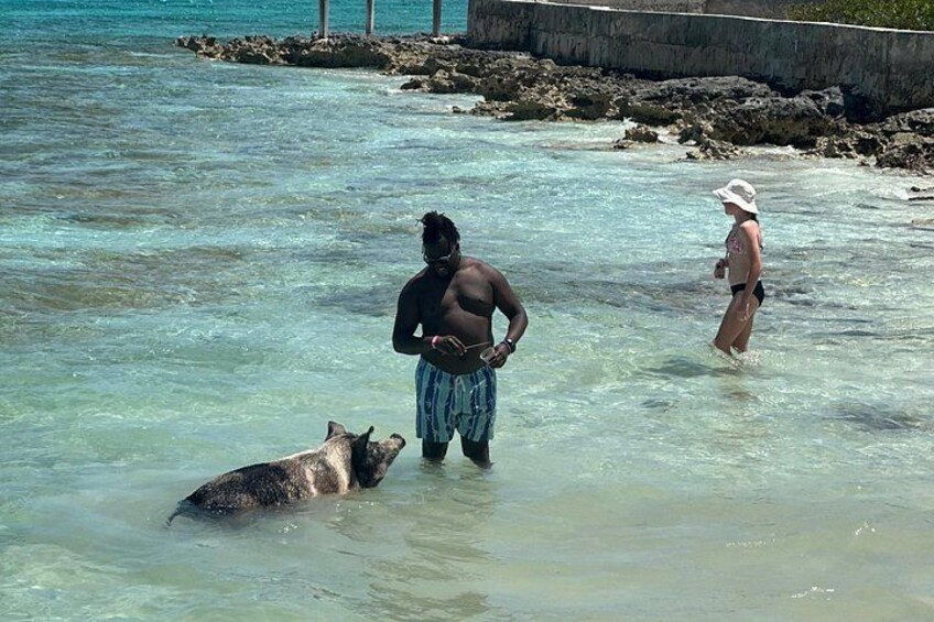 Chilling: With my homies! Swimming Pig Adventures! 2