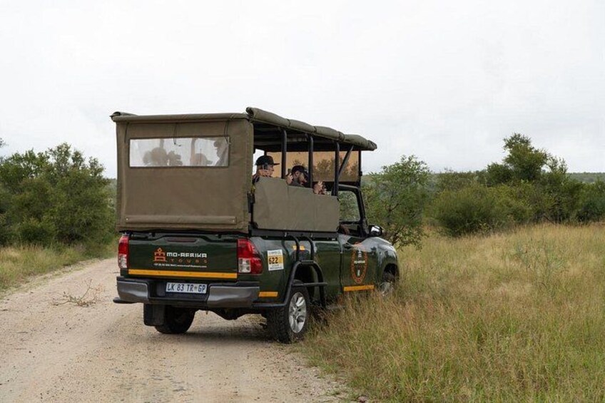 Full-Day Shared Kruger National Park Safari from Hoedspruit 2