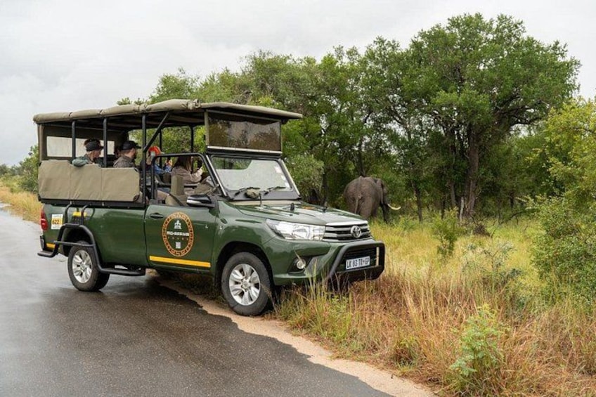A safari vehicle with a logo on the side driving on a road with an elephant in the background. 1