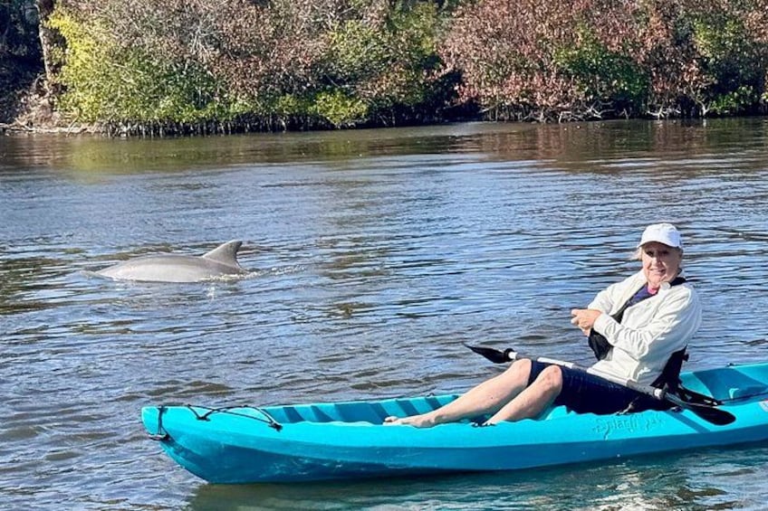 Daytona Beach Dolphin & Manatee Kayak Wildlife Adventure 1