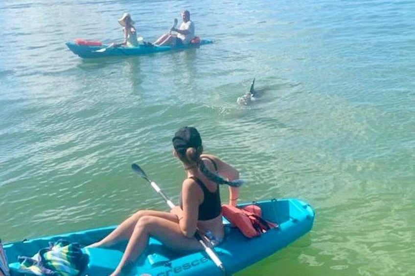 Another beautiful day on the Daytona Kayaking Tour with Dolphins swimming in between everyone! 3