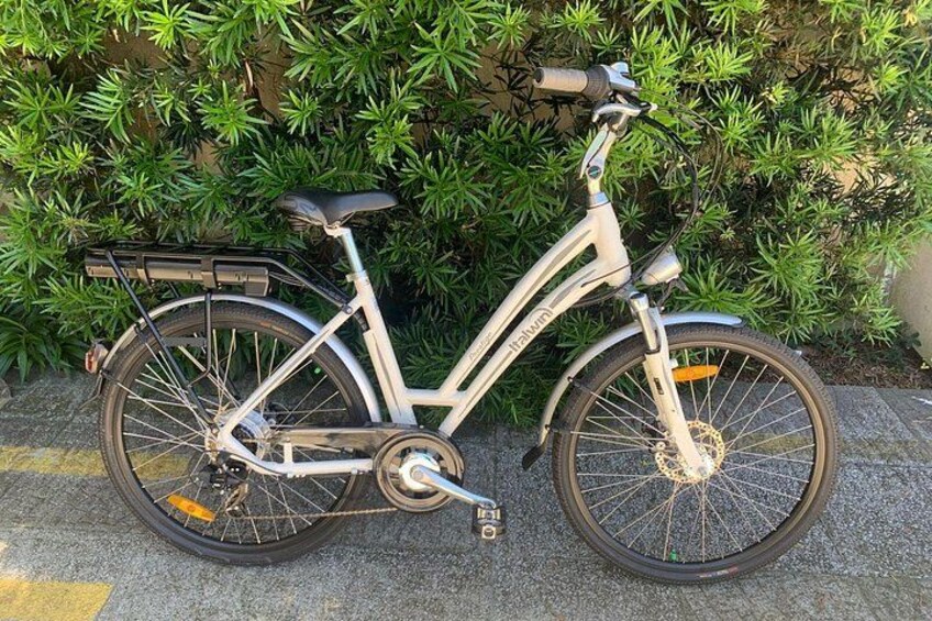 Our Electric bikes option (electrically-assisted pedal cycles) 4