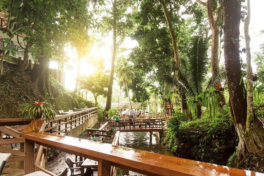 A wooden bridge over a water body, surrounded by lush greenery and trees. 3
