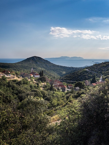 Picture 9 for Activity Hidden Hvar Tuk Tuk Tour: Lavender Fields, Villages & Views 3