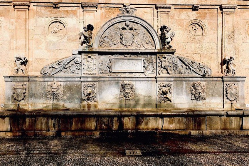 Granada Albaicín & Sacromonte Exclusive Walk Tour in the Old Town 3