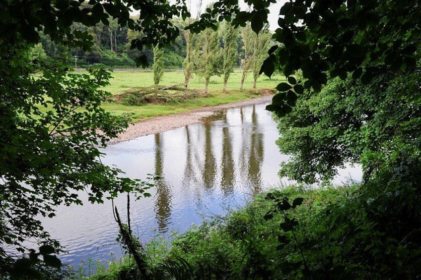 Ein ruhiger Fluss, umgeben von üppigem Grün und Bäumen. 1
