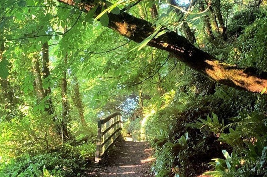 Lady Louisa's Walk Guided Tour 2