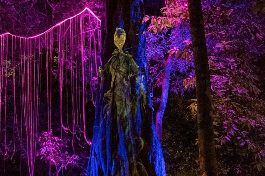 Explore Mystical Wonderland of Dream Forest Langkawi with Pickup 1