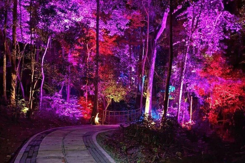 Explore Mystical Wonderland of Dream Forest Langkawi with Pickup 2