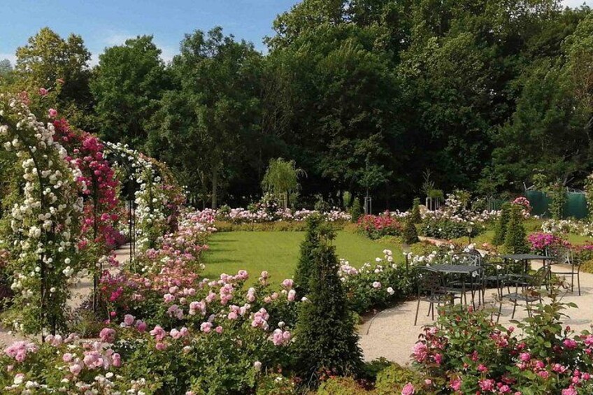 A garden with a variety of flowers, a lawn, and a seating area. 3