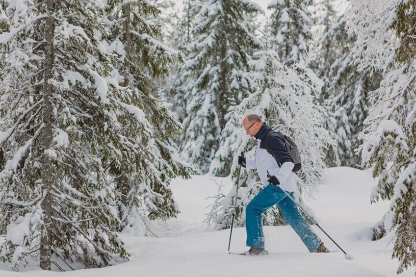 Snowshoe tour in Winter Wonderland - Oslo