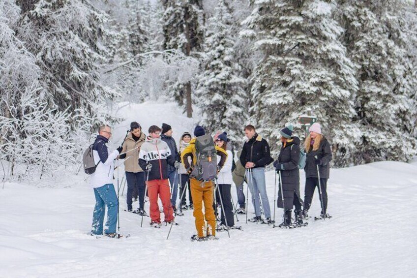 Snowshoe tour in Winter Wonderland - Oslo