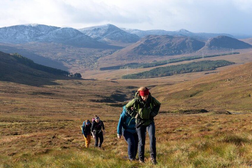 Highland Cow Hike in Edinburgh 2