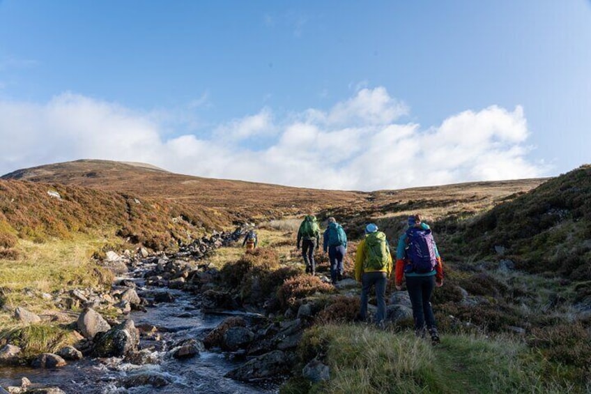 Un grupo de excursionistas caminando a lo largo de un arroyo pedregoso en un paisaje montañoso. 2
