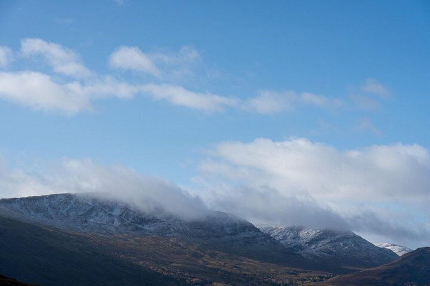 Highland Cow Hike in Edinburgh 2