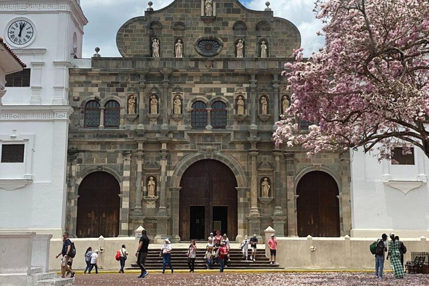 Old Town Cathedral 5