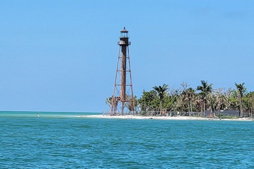 Fort Myers Beach Dolphin & Sightseeing Tour Refreshments Included 3