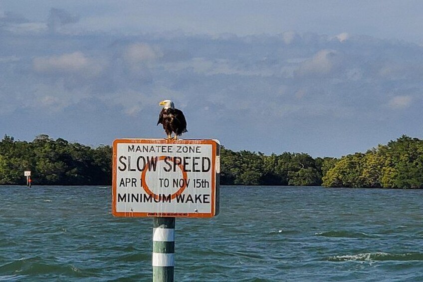 Fort Myers Beach Dolphin & Sightseeing Tour Refreshments Included 2