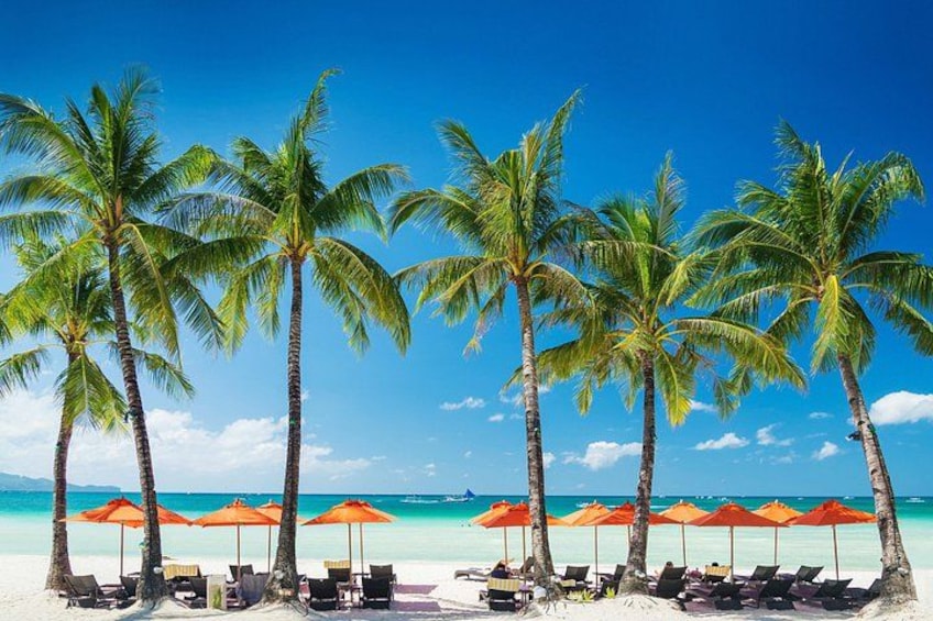 Ein Strand mit Palmen und Liegen unter orangenen Sonnenschirmen. 3