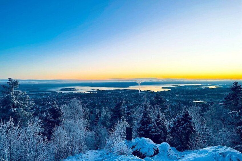 A snowy landscape with trees and a distant view of a body of water during sunset. 2
