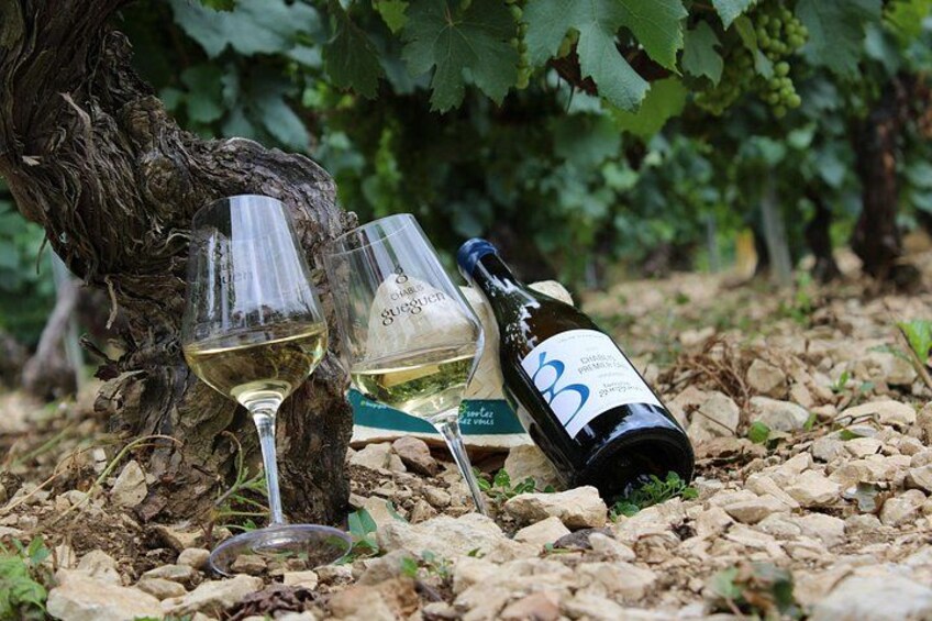 Wine Getaway with Tasting in the Chablis Vineyard 1