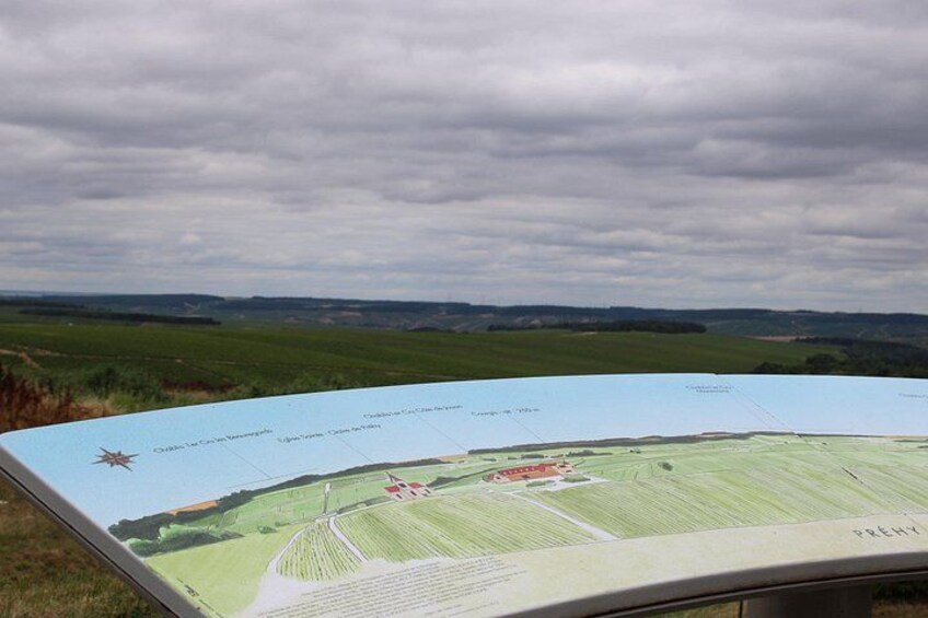 Wine Getaway with Tasting in the Chablis Vineyard 3