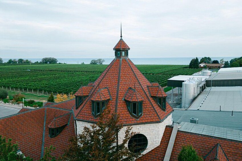 A vineyard with a red-roofed building and a view of the sea. 4